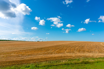 Fototapeta na wymiar Harvesting of grain is completed. Zavyalovsky district, Udmurt Republic, Russia.