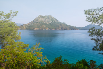 beautiful emerald sea bay with mountain coast, view from a forest glade with tree branch