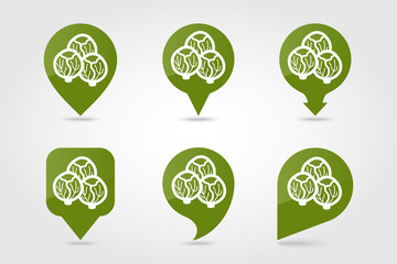 Brussels sprouts flat pin map icon. Vegetable