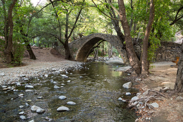 Fototapeta na wymiar Ancient stone bridge in the forest, island of Cyprus