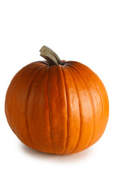 Pumpkin isolated on white