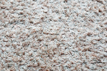 Close up the Carpet Texture