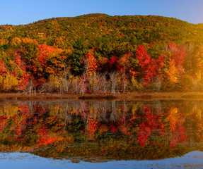 Beautiful view of the autumn lake. Reflection of red, orange yellow trees in the calm smooth surface of the lake. A riot of autumn colors. Acadia National Park. USA. Maine