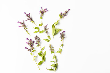 frame with phlox flowers on white background. flat lay, top view, copy space