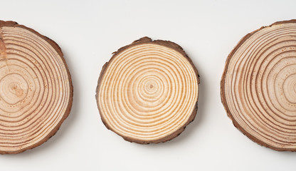 top view of wood piece with annual ring on white