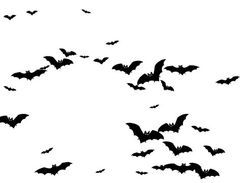 Dangerous black bats group isolated on white vector Halloween background. Flittermouse night creatures illustration. Silhouettes of flying bats traditional Halloween symbols on white.