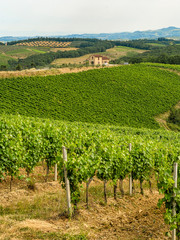 Naklejka premium Summer landscape in the Chianti region at summer