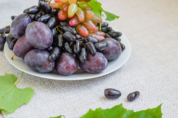 Autumn composition. Grape and plums on the white bowl