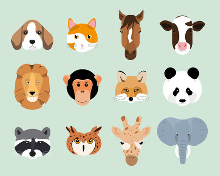 Set of cute animal heads. Flat style vector illustration.