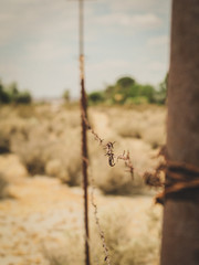 Old rusty fence in desert