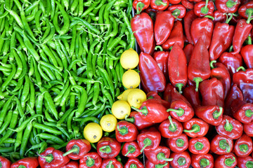 Organic and fresh vegetables at the market
