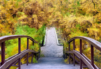 Obraz premium Wooden bridge in the autumn park