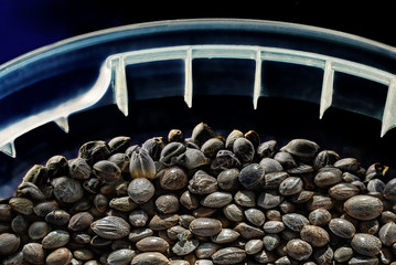 Hemp seeds in a plastic box on a dark background