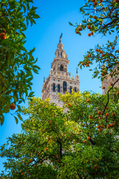 Giralda, Seville