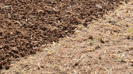 Agricultural fields in Madagascar