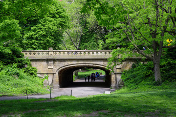 People running in the park with the bridge brick at Central park on New York