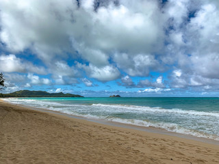 hawaii tropical beach