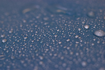 dewdrops on a blue background