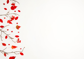 Autumn composition. The border is made of red Rowan berries, branches, red maple leaves on a white background.