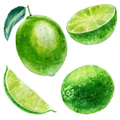 Watercolor illustration, set. Image of lime. Lime fruit with leaf, half lime, lime slice.
