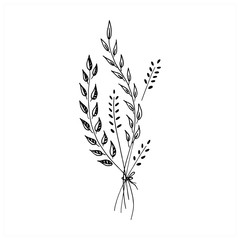 Botanical doodle. Floral elements. A small bouquet of grass, branches and flowers. Hand drawn vector illustration, isolated on white