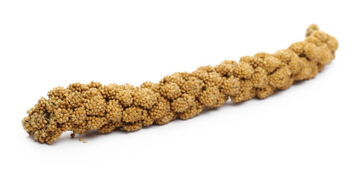 Fototapeta premium Bird seed, millet stick isolated on white background