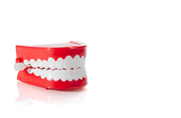 Clockwork jaw toy isolated on white background. Layout for the demonstration of the jaw students dental.