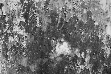 Grungy rusted metal wall surface in black and white.