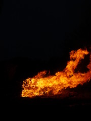Christbaumverbrennung Weihnachtsbaumverbrennung Feuer Flammen und Feuerwehr