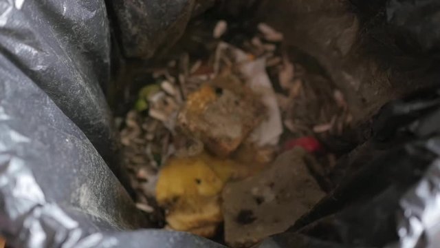 throwing moldy bread in the trash can, slow motion