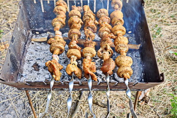 Cooking barbecue and fish soup on a bonfire on a picnic outside the city. Summer, 2019.