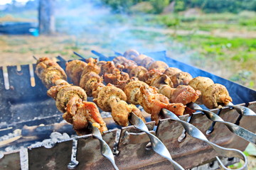 Cooking barbecue and fish soup on a bonfire on a picnic outside the city. Summer, 2019.