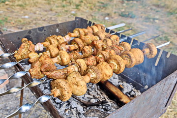 Cooking barbecue and fish soup on a bonfire on a picnic outside the city. Summer, 2019.