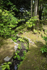 Fototapeta na wymiar Hand-made creek in japanese park, summer