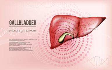 Light red realistic liver and gallbladder baner concept