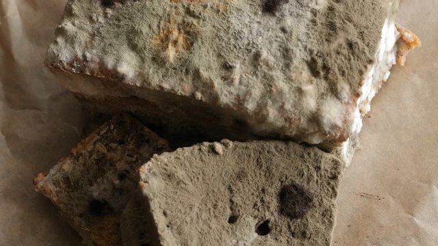 moldy bread rotating, turning round, from above