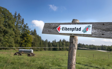 Eibenwald Paterzell Schild Wegweiser Eibe Wald Natur
