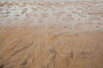 Atlantic BeachScape