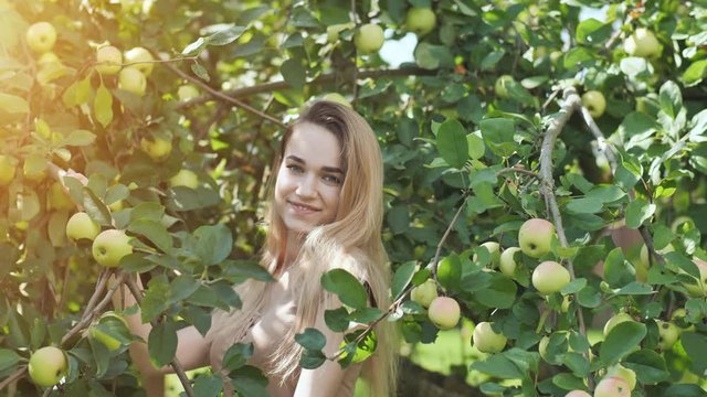 Beautiful seventeen year old girl blonde posing in the branches of an apple tree