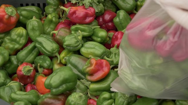 Greengrocer serving red and green peppers in a bag at a street market