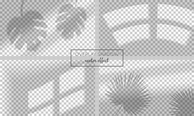 Vector set with shadow overlays  on transparent background. Organic and window frame shadows for natural light effects. Photo-realistic illustration with palm and monstera leaves