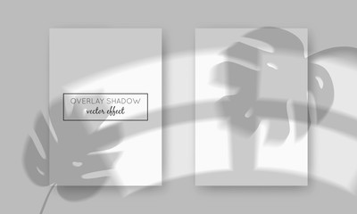 Vector two A4 cards mockup with shadow overlays on top. Organic and window frame shadows for natural light effects. Trendy photo-realistic illustration with monstera leaves