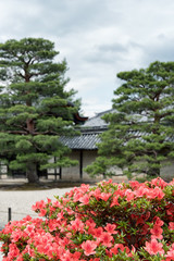 Fototapeta na wymiar Zen garden of the Tenryu-ji temple, Kyoto, Japan
