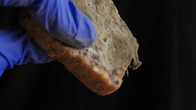 slice of moldy bread on a black background