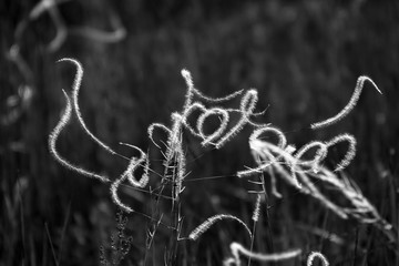 Удивительная природа