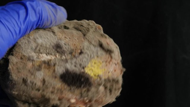 slice of moldy bread on a black background