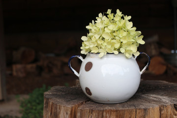 Vintage vase holding flowers