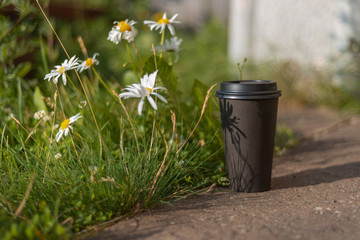 A paper cup of coffee standing on the pavement next to a lawn and a daisy bush casting a flower shadow