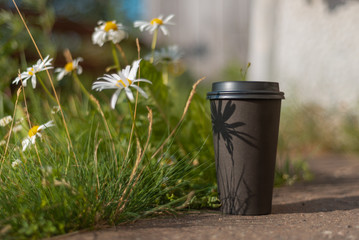 A paper cup of coffee standing on the pavement next to a lawn and a daisy bush casting a flower shadow