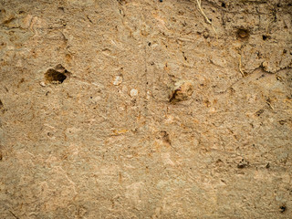 Cross section of soil background